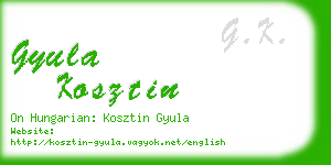 gyula kosztin business card